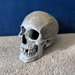 Gray Skull Decor